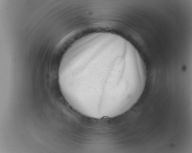 X0000113930920200910161847