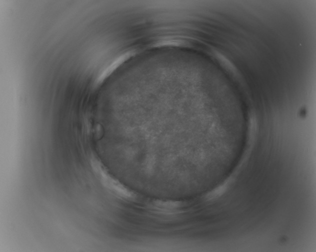 X0000113930921200910161847