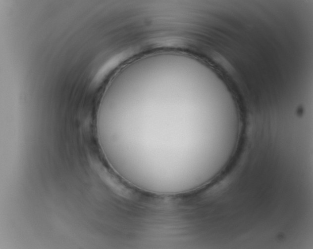 X0000113930922200910161847