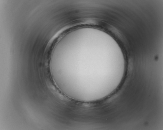 X0000113930923200910161847