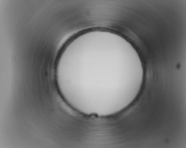 X0000113930924200910161847