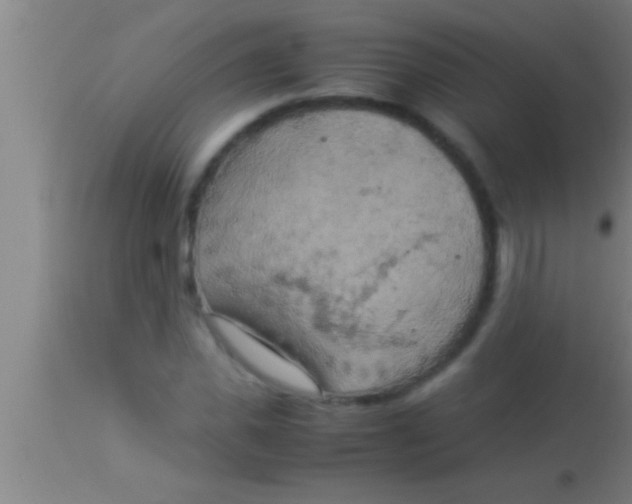 X0000113930925200910161847