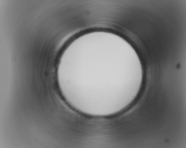 X0000113930926200910161847