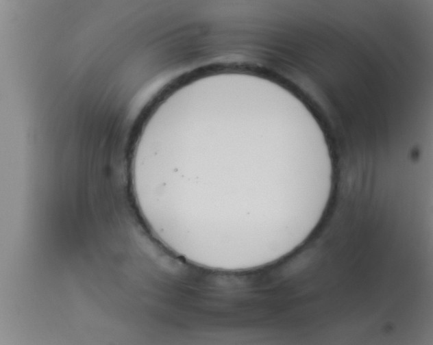 X0000113930927200910161847