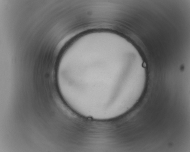 X0000113930928200910161847