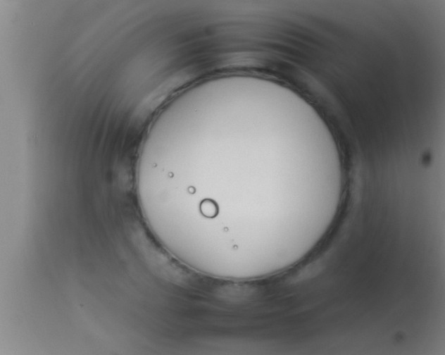 X0000113930929200910161847