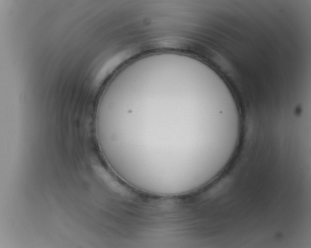 X0000113930930200910161847