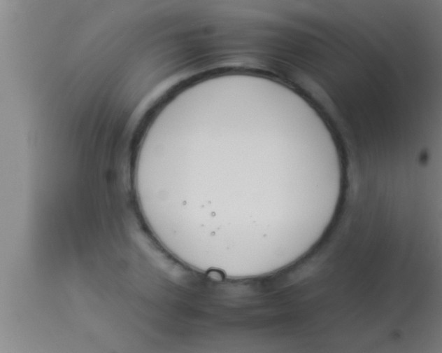 X0000113930931200910161847