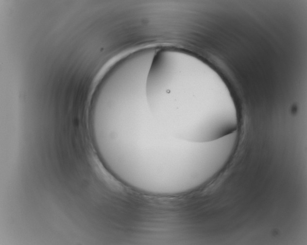 X0000113930932200910161847