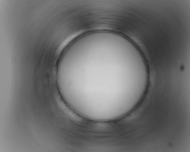 X0000113930933200910161847