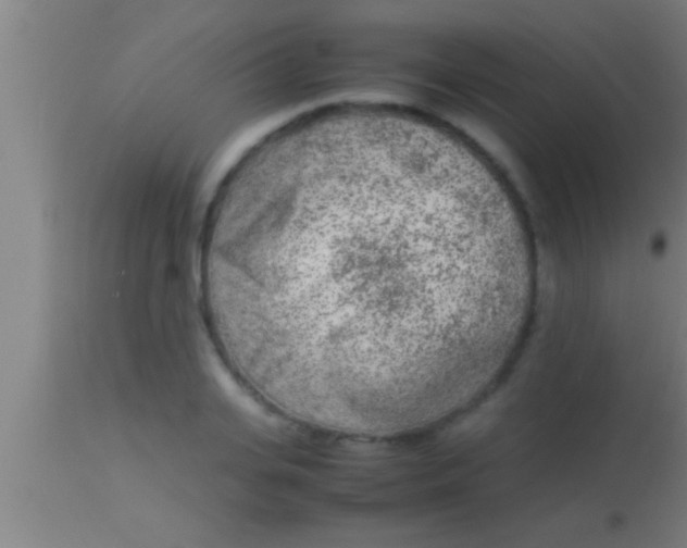 X0000113930935200910161848