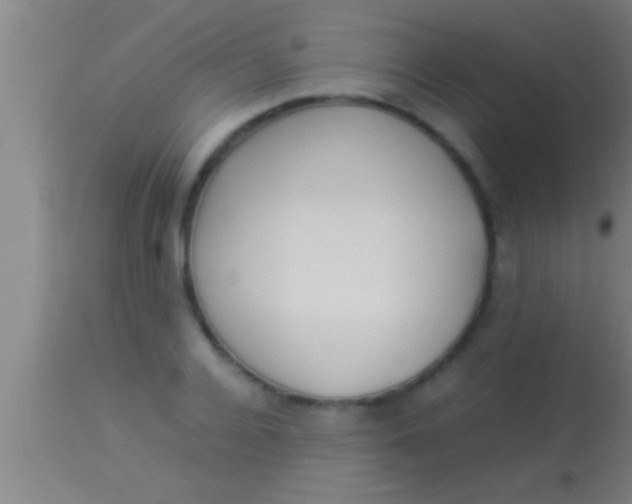 X0000113930936200910161848