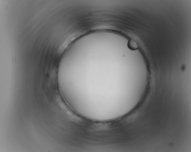 X0000113930937200910161848