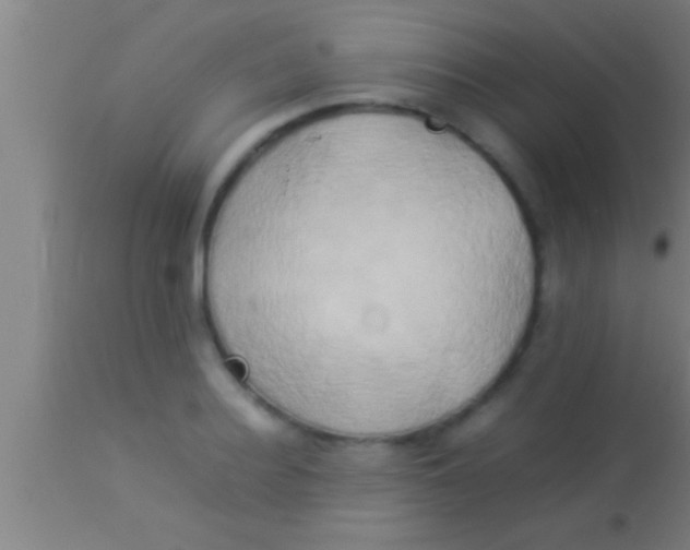 X0000113930940200910161848