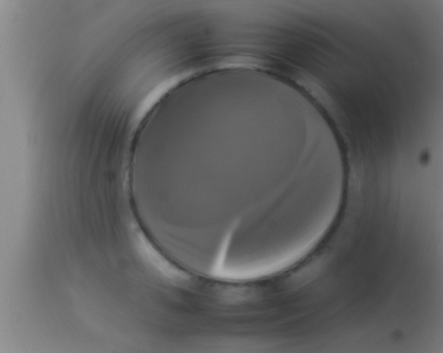 X0000113930941200910161848