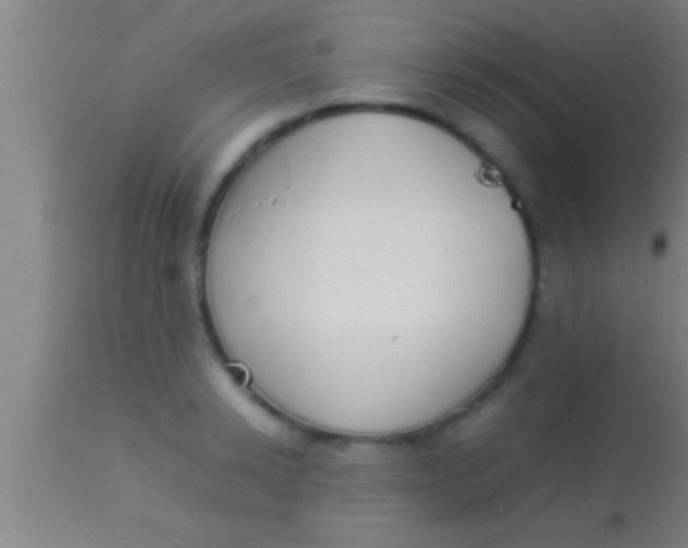 X0000113930942200910161848