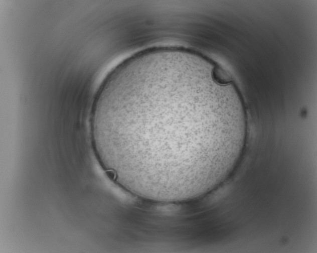 X0000113930943200910161848