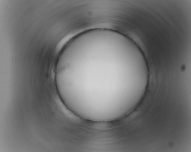 X0000113930944200910161848