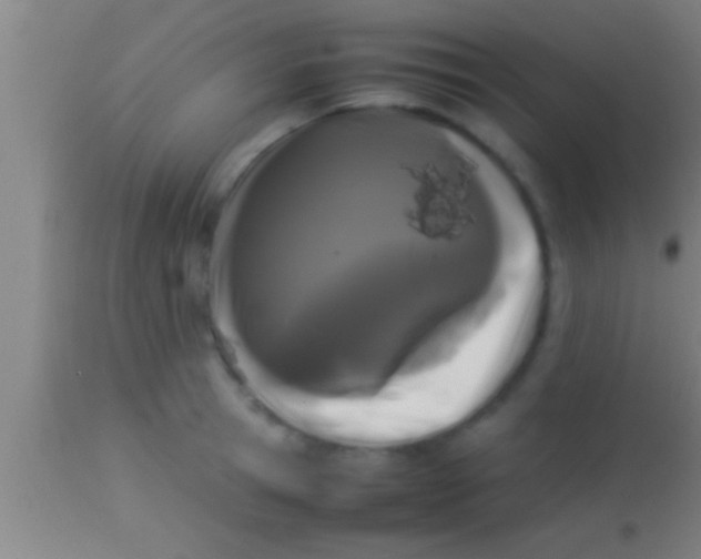 X0000113930945200910161848