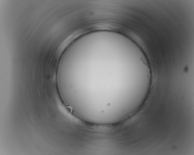 X0000113930946200910161848