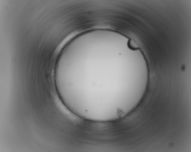 X0000113930947200910161848