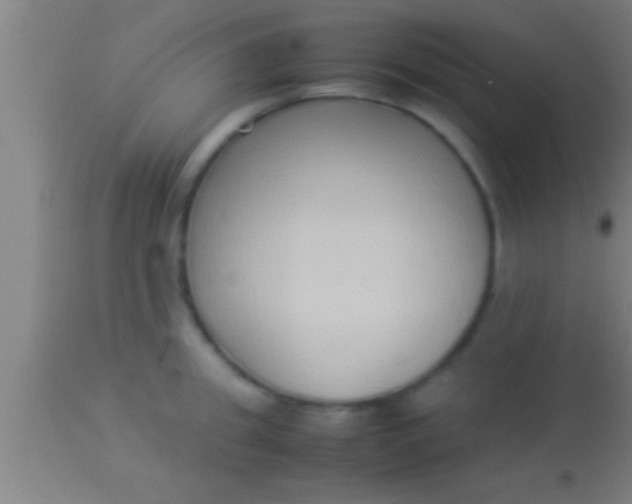 X0000113930949200910161848