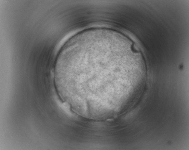 X0000113930951200910161848