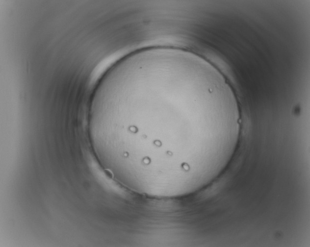 X0000113930952200910161848