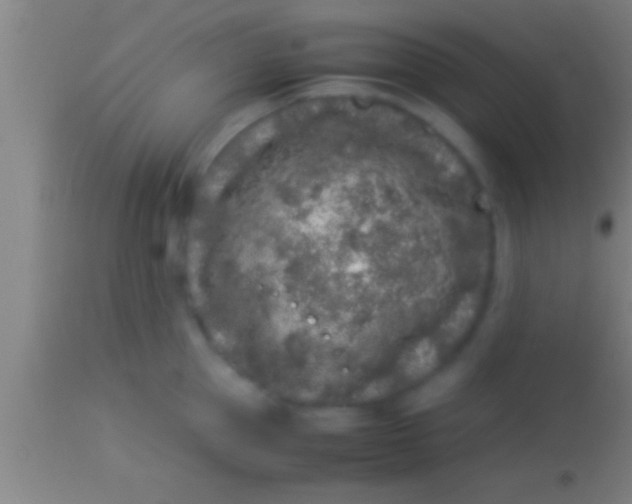 X0000113930953200910161848