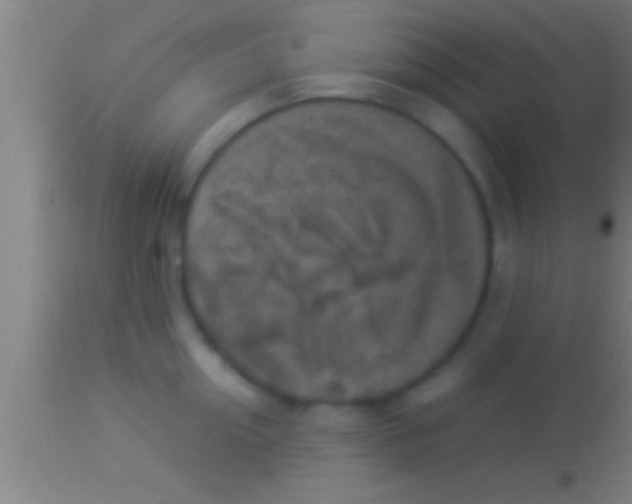 X0000113930954200910161848