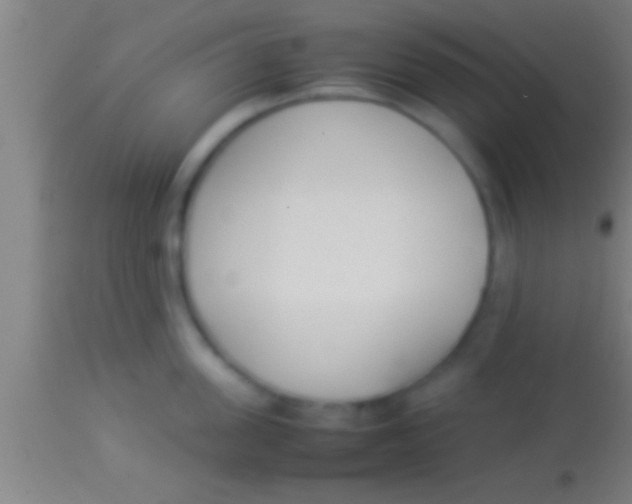 X0000113930955200910161848