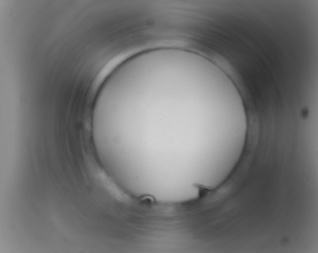 X0000113930956200910161848