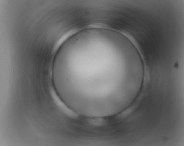 X0000113930957200910161848