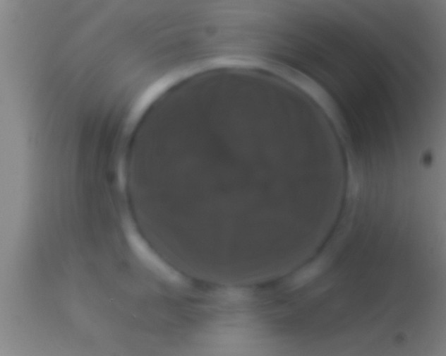 X0000113930958200910161848