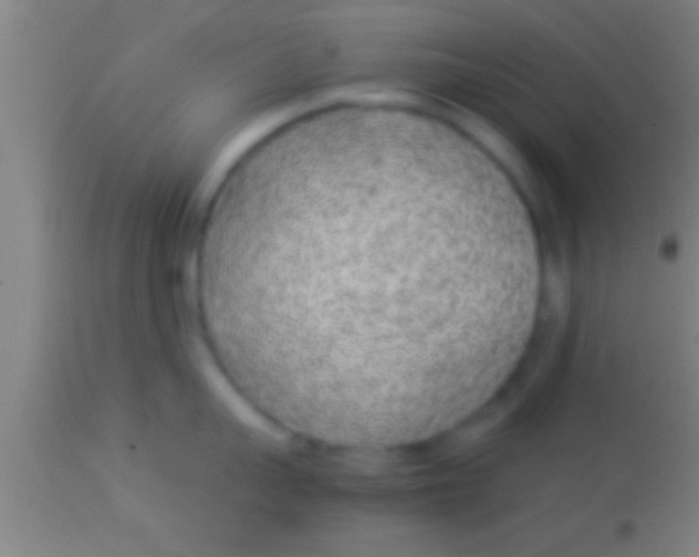 X0000113930959200910161848