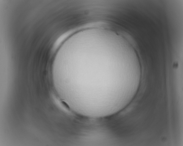 X0000113930960200910161848