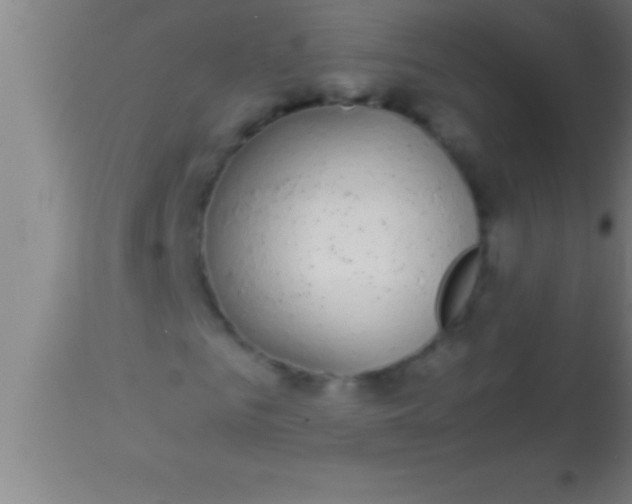 X0000113930961200910161847