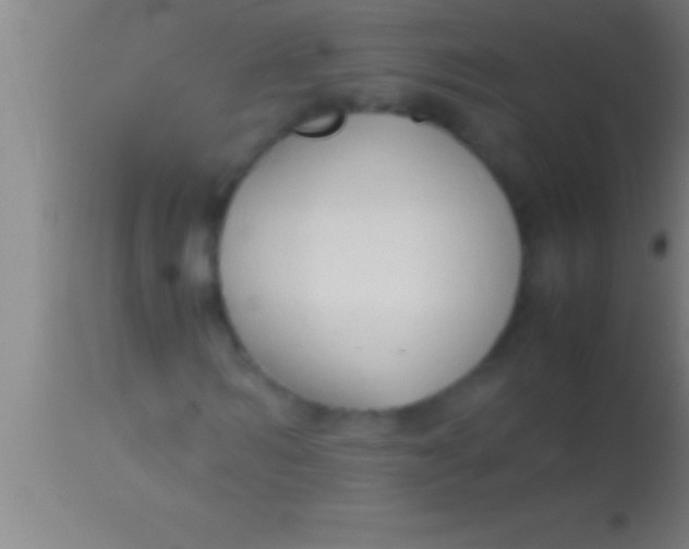 X0000113930962200910161847