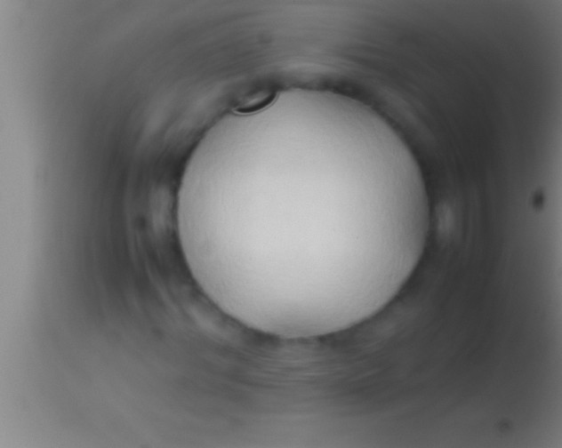 X0000113930964200910161847