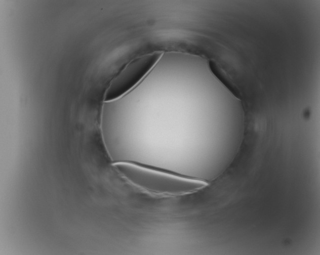 X0000113930965200910161847