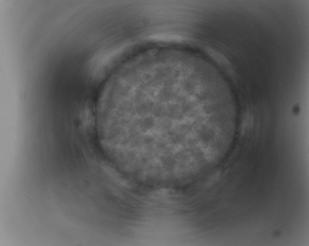 X0000113930966200910161847