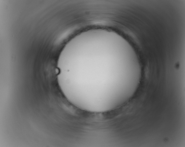 X0000113930968200910161847