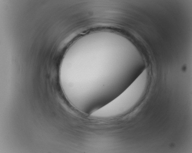 X0000113930969200910161847