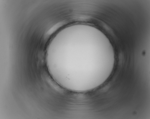 X0000113930970200910161847