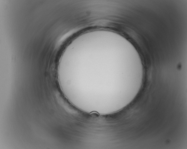 X0000113930971200910161847