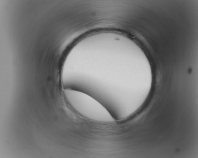 X0000113930973200910161847