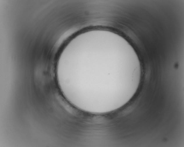 X0000113930974200910161847