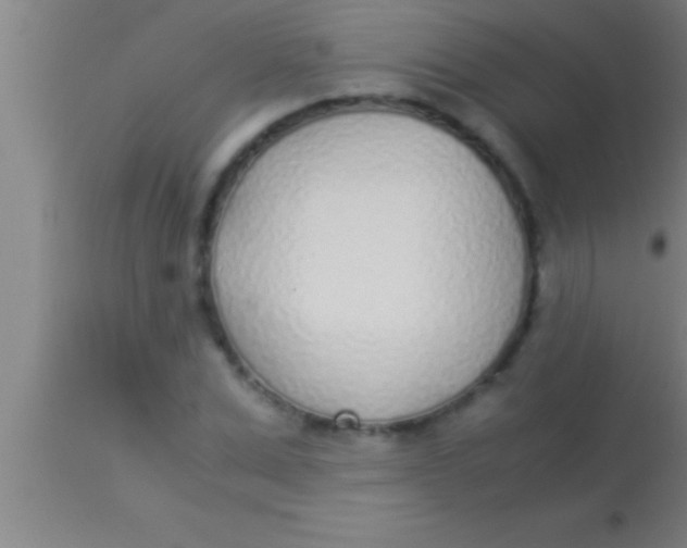 X0000113930975200910161847