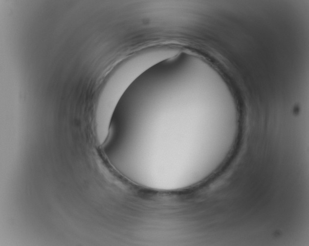 X0000113930977200910161847