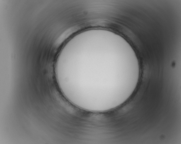 X0000113930978200910161847